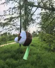 Chic & Stylish Beaver Plush Dispenser for Dog and Cat Waste Bags Poop Bag Trash Bags-for Pet Waste Disposal